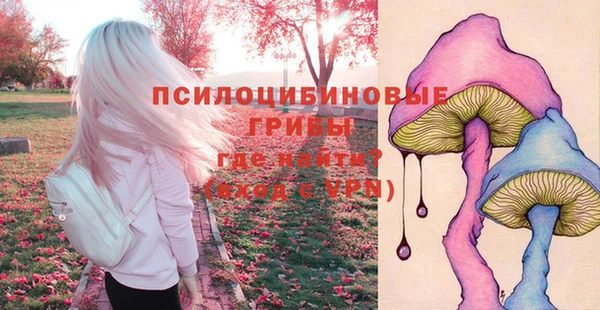 МДМА Медвежьегорск