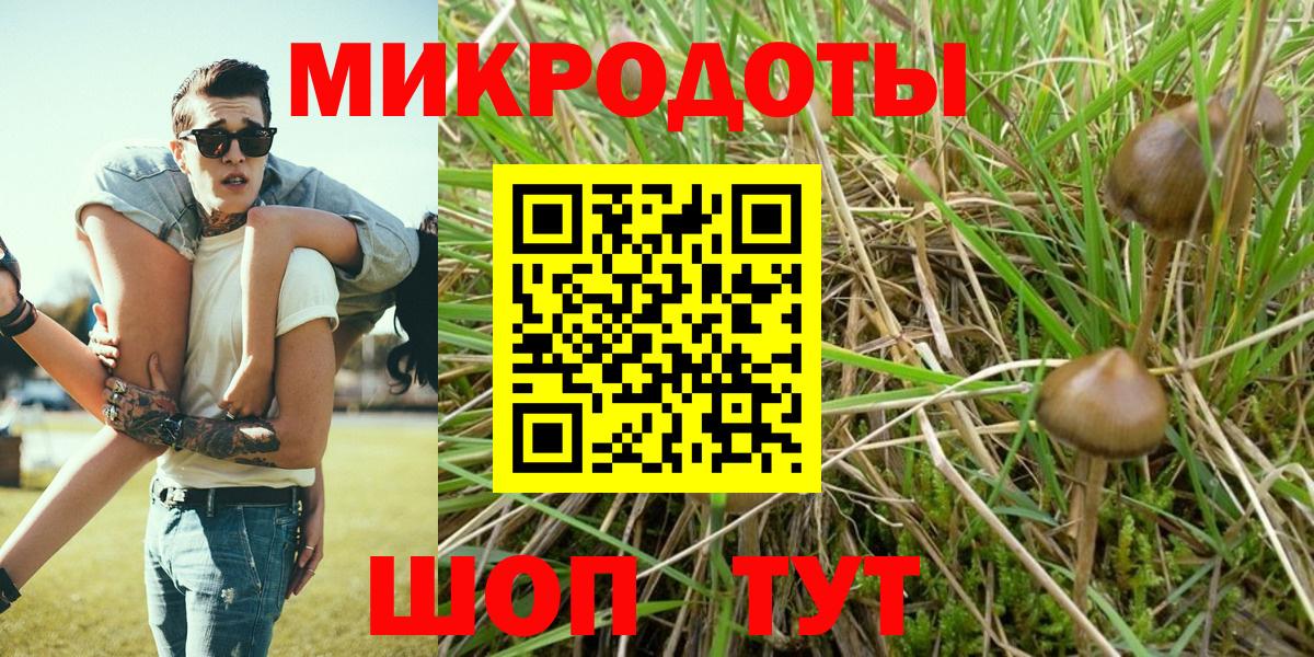 Галлюциногенные грибы мухоморы Острогожск