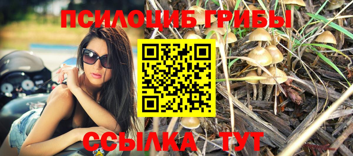 Галлюциногенные грибы ЛСД  Острогожск  наркота  Псилоцибиновые грибы Psilocybe 