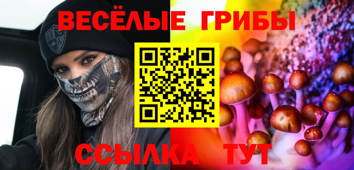 Альфа ПВП Острогожск